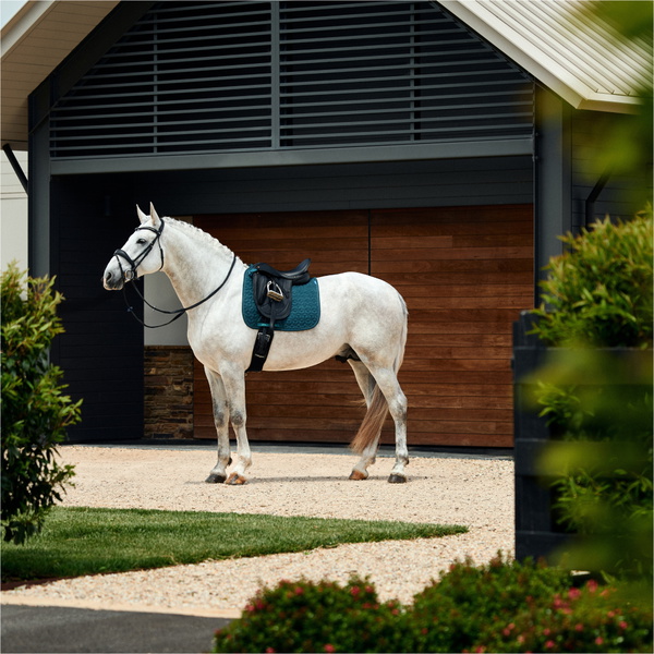2026 WeatherBeeta Suede Elite Air-Tec Dressage Saddle Pad 1030346007 - Forest Green